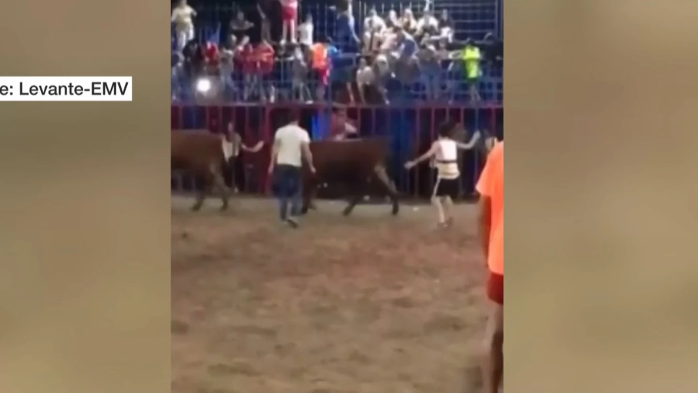 Un toro embiste a un niño tras caerse de la grada en Tavernes de la Valldigna, Valencia. Un toro embiste a un niño tras caerse de la grada en Tavernes de la Valldigna, Valencia.