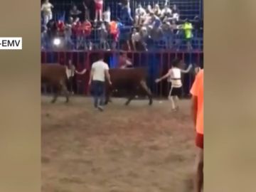 Un toro embiste a un niño tras caerse de la grada en Tavernes de la Valldigna, Valencia. Un toro embiste a un niño tras caerse de la grada en Tavernes de la Valldigna, Valencia.