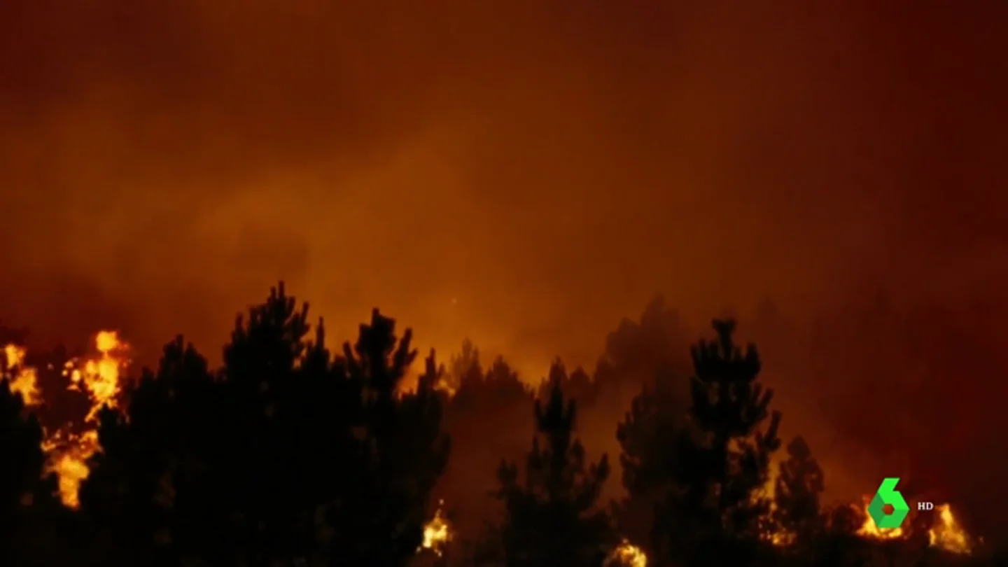 'Lo que arde', la película en la que los incendios de Galicia se cuelan en la pantalla en forma de ficción 'Lo que arde', la película en la que los incendios de Galicia se cuelan en la pantalla en forma de ficción