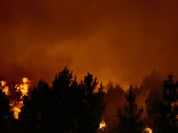 'Lo que arde', la película en la que los incendios de Galicia se cuelan en la pantalla en forma de ficción 'Lo que arde', la película en la que los incendios de Galicia se cuelan en la pantalla en forma de ficción