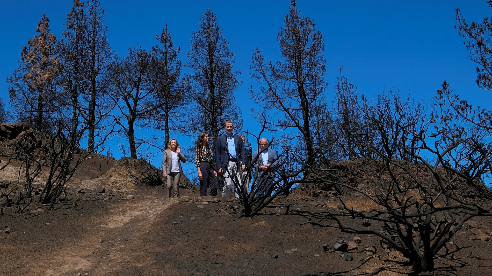 Los reyes Felipe y Letizia, junto con Nadia Calviño, visitan las principales zonas afectadas por los incendios de agosto.