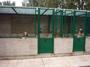 Imagen de archivo del Centro de Atención a Animales de Pamplona. Imagen de archivo del Centro de Atención a Animales de Pamplona.