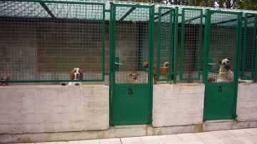 Imagen de archivo del Centro de Atención a Animales de Pamplona.