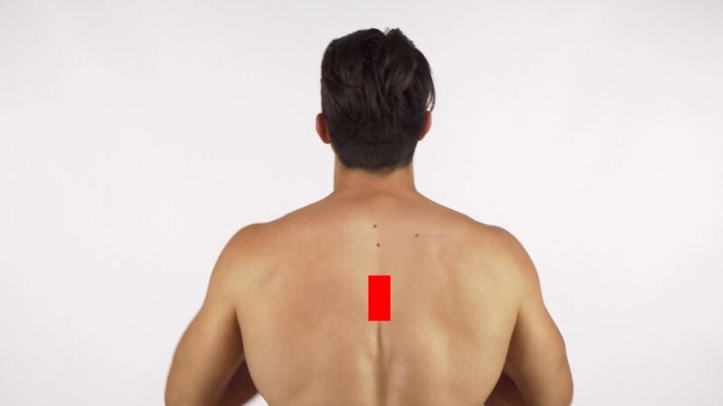 Filtrum, acnestis... ¿Sabrías localizar las partes más raras del cuerpo?