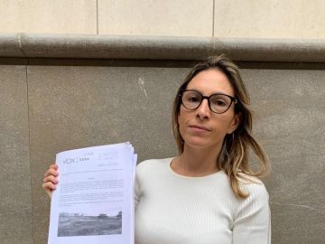 Amparo Cerdá, la portavoz de Vox en Elche Amparo Cerdá, la portavoz de Vox en Elche