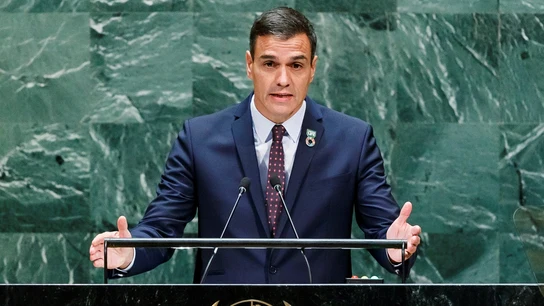 El presidente del Gobierno, Pedro Sánchez, en la ONU en 2019 El presidente del Gobierno, Pedro Sánchez, en la ONU en 2019