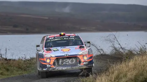 Thierry Neuville solo pudo ser segundo Thierry Neuville solo pudo ser segundo
