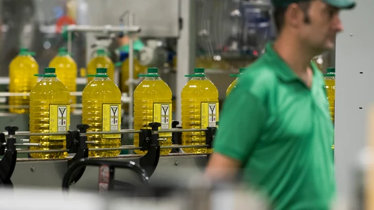 Imagen de la producción de botellas de aceite españolas. Imagen de la producción de botellas de aceite españolas.