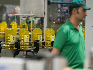 Imagen de la producción de botellas de aceite españolas. Imagen de la producción de botellas de aceite españolas.