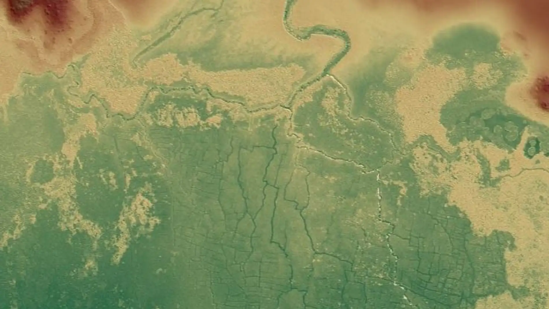 El impacto de los mayas en el medio ambiente fue mayor de lo que se creia