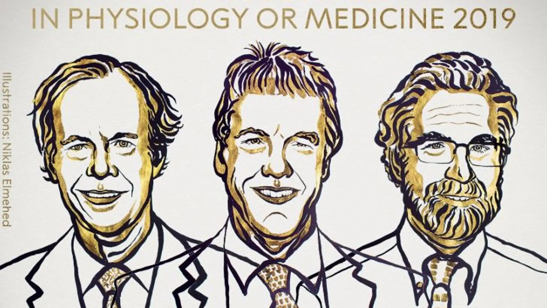 ilustración de William G. Kaelin Jr, Sir Peter J. Ratcliffe y Gregg L. Semenza