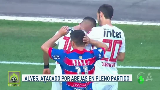 AlvesAbejasJugones AlvesAbejasJugones