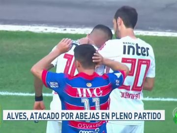AlvesAbejasJugones AlvesAbejasJugones