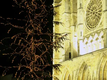 Árbol de Navidad junto a la Catedral de León Árbol de Navidad junto a la Catedral de León