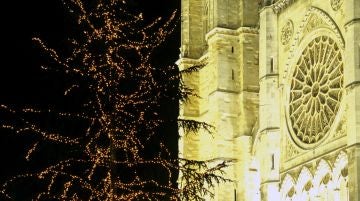 Árbol de Navidad junto a la Catedral de León