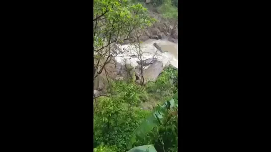 Hallan a otros cinco elefantes muertos en la cascada donde murió una manada Hallan a otros cinco elefantes muertos en la cascada donde murió una manada