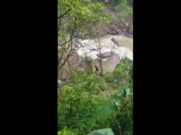 Hallan a otros cinco elefantes muertos en la cascada donde murió una manada Hallan a otros cinco elefantes muertos en la cascada donde murió una manada