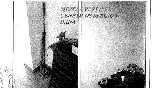 Lugar donde se encontró el palo de madera Lugar donde se encontró el palo de madera
