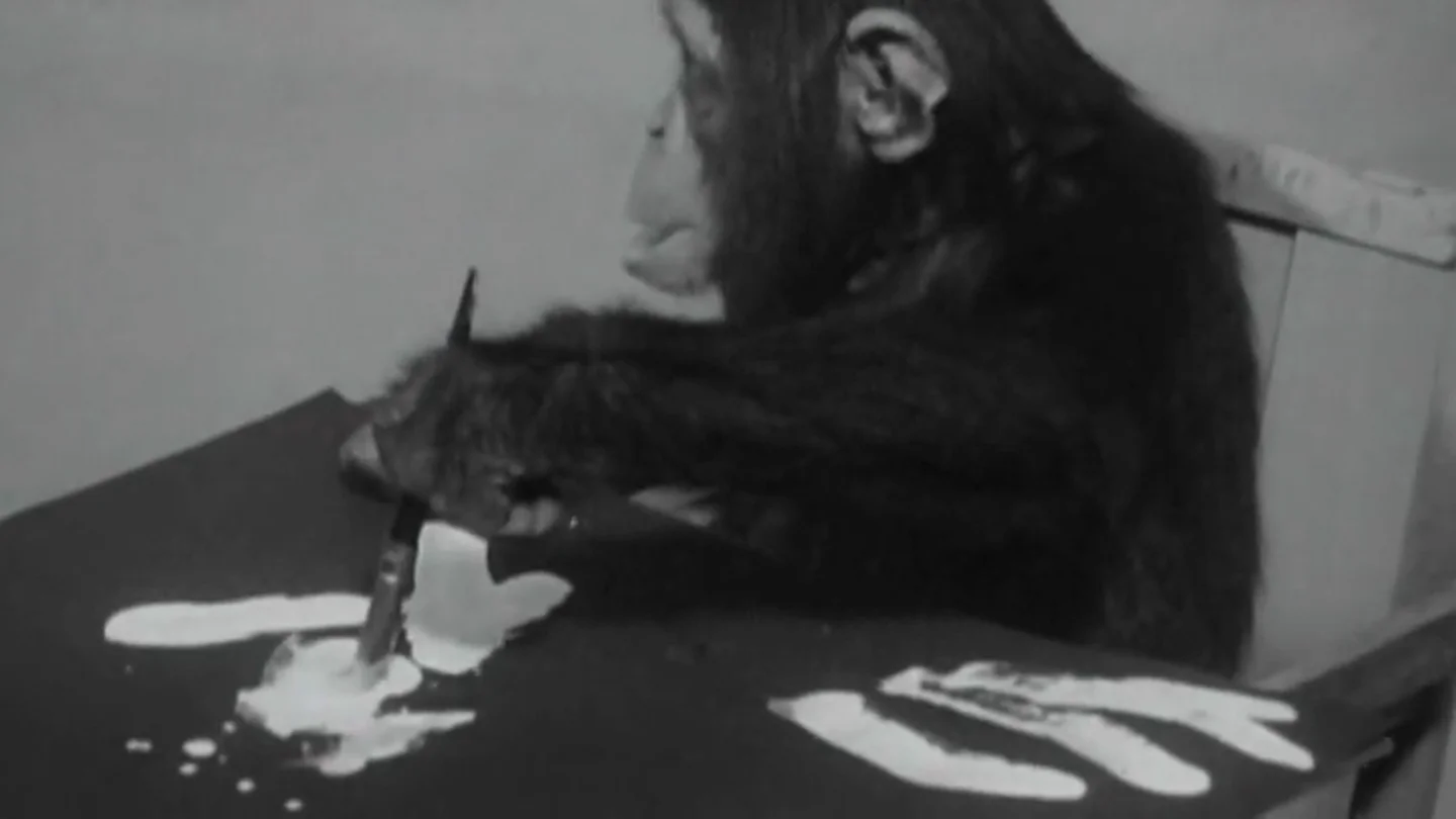 Congo, el chimpancé pintor del que se enamoraron Picasso y Miró Congo, el chimpancé pintor del que se enamoraron Picasso y Miró