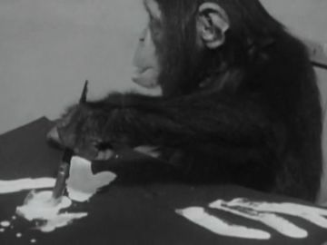 Congo, el chimpancé pintor del que se enamoraron Picasso y Miró Congo, el chimpancé pintor del que se enamoraron Picasso y Miró