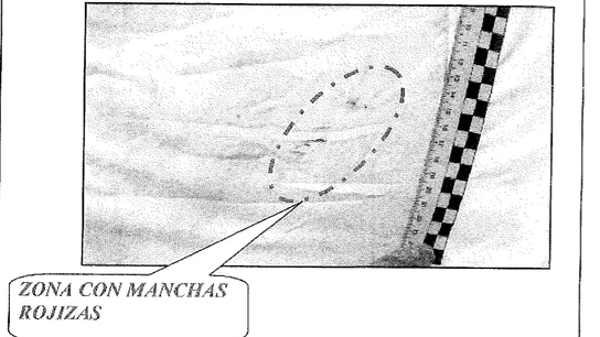 Manchas rojizas halladas en el edredón Manchas rojizas halladas en el edredón