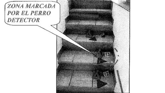 Escaleras de la vivienda de Dana Leonte con restos biológicos Escaleras de la vivienda de Dana Leonte con restos biológicos
