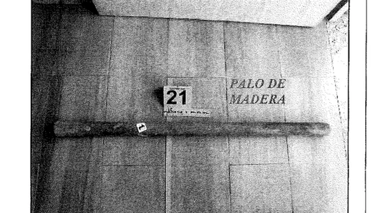 Bastón de madera con resto biológicos Bastón de madera con resto biológicos