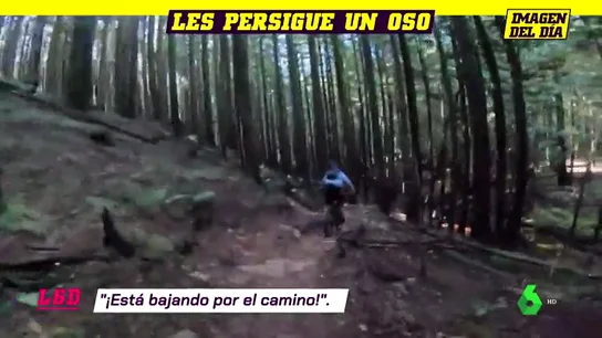 Deportes oso Deportes oso