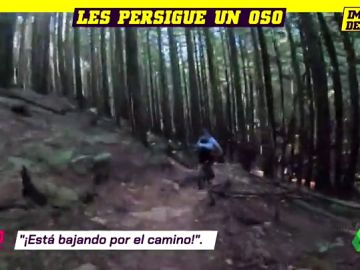 Deportes oso Deportes oso