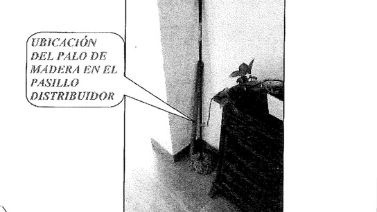 Fotografía del palo con restos biológicos Fotografía del palo con restos biológicos