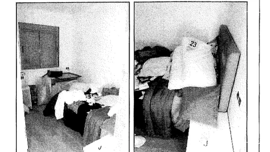 Almohada con restos biológicos Almohada con restos biológicos