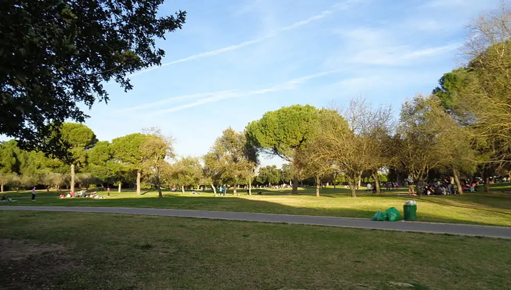 Sevilla (Parque del Alamillo) 