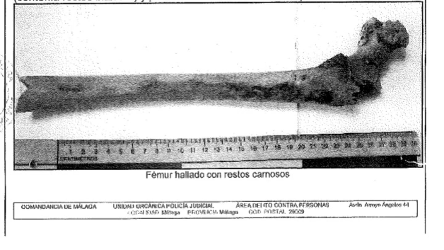 Femur de Dana hallado en la búsqueda Femur de Dana hallado en la búsqueda
