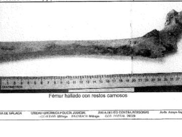 Femur de Dana hallado en la búsqueda Femur de Dana hallado en la búsqueda