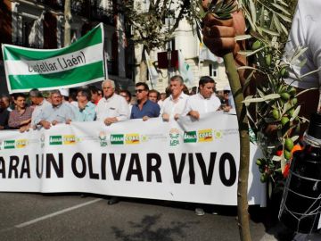 Protesta de los olivareros Protesta de los olivareros