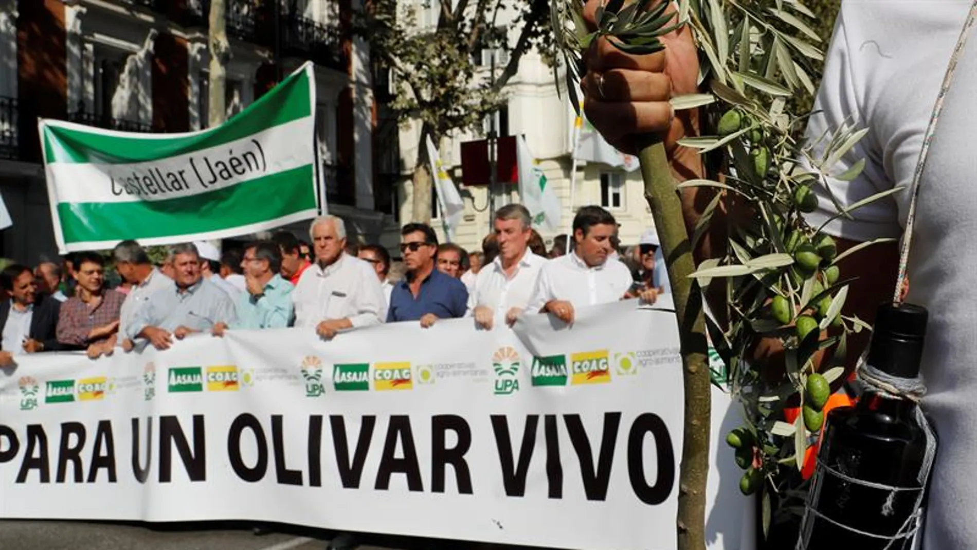 Protesta de los olivareros