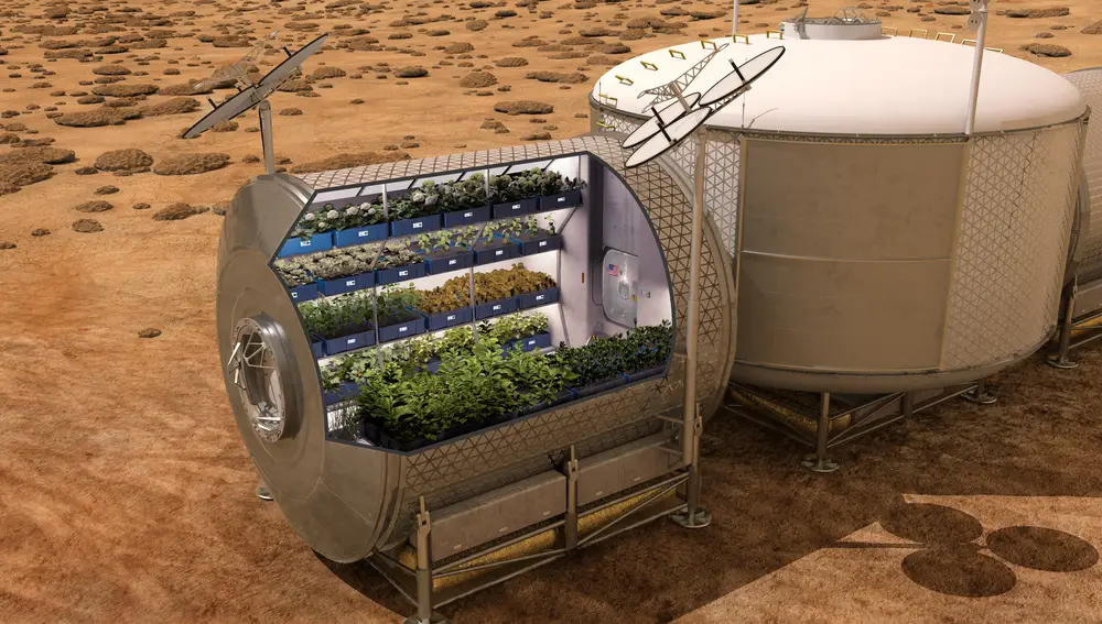 Tanto la NASA como la ESA tienen proyectos para cultivar alimentos en el espacio