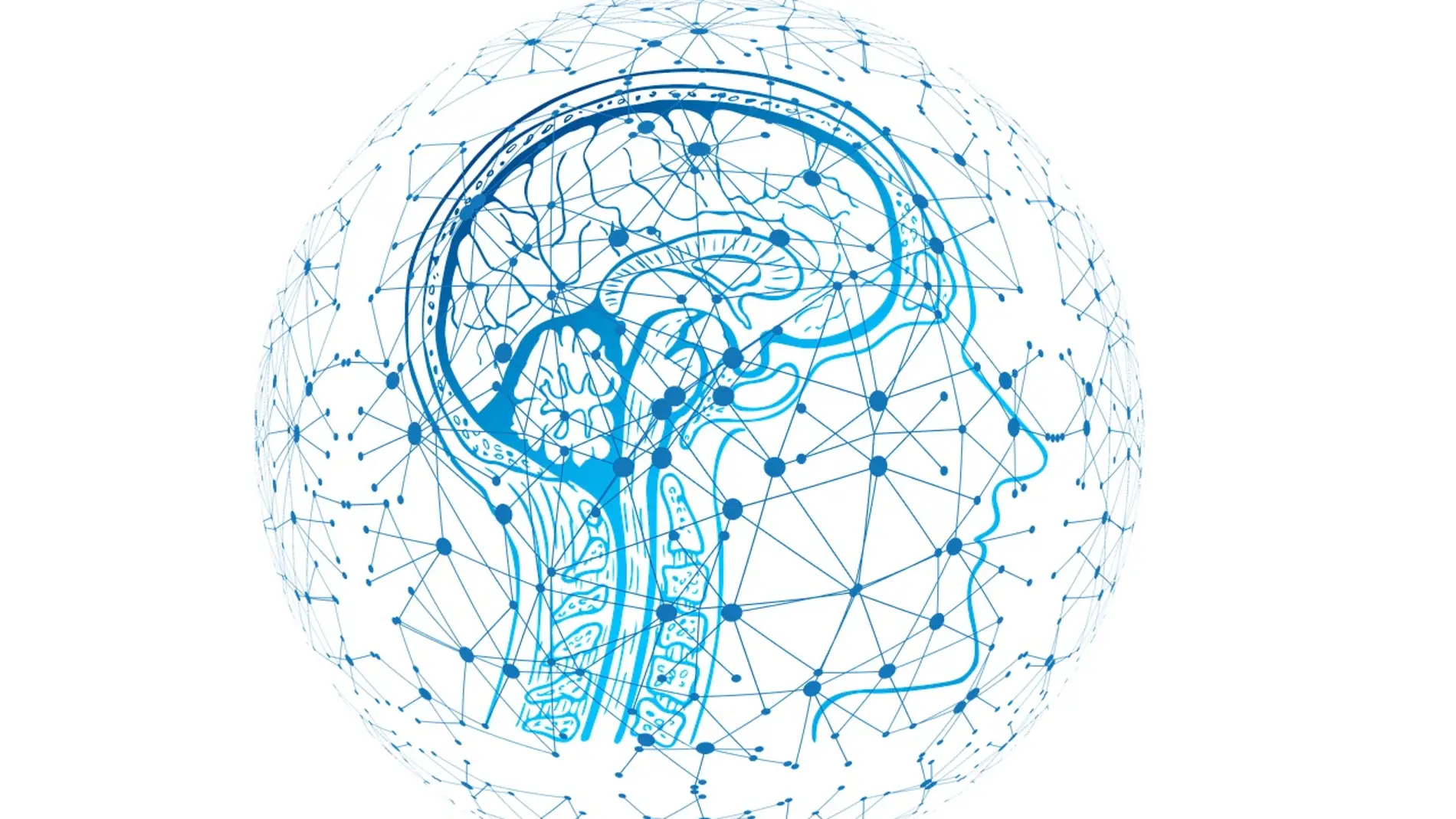 ilustración de una red neuronal en el cerebro