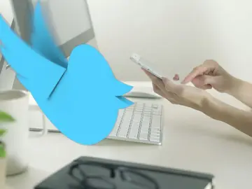 Twitter Twitter