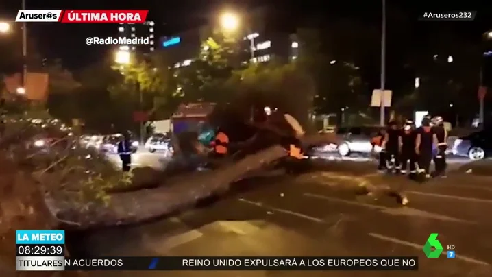 Imagen del árbol que ha caído en la Castellana