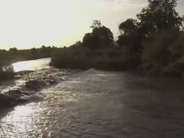 Paseo por los desechos del Segura: el recorrido de miles de residuos plásticos por un río destrozado por la contaminación Paseo por los desechos del Segura: el recorrido de miles de residuos plásticos por un río destrozado por la contaminación