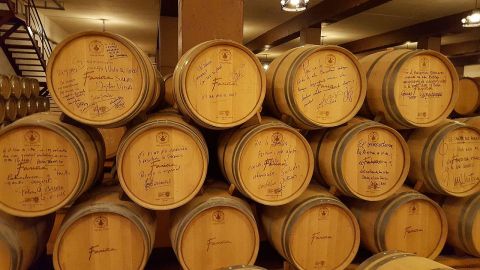 Barricas en la bodega Fariña de Toro