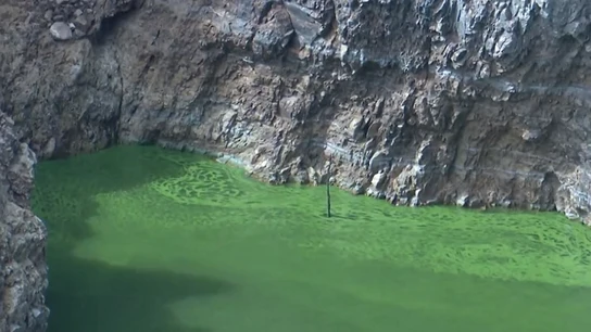 Imagen del río Tajo teñido de verde Imagen del río Tajo teñido de verde