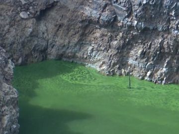 Imagen del río Tajo teñido de verde Imagen del río Tajo teñido de verde