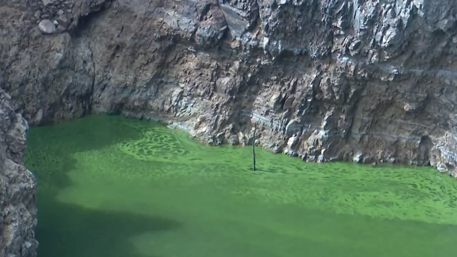 Imagen del río Tajo teñido de verde