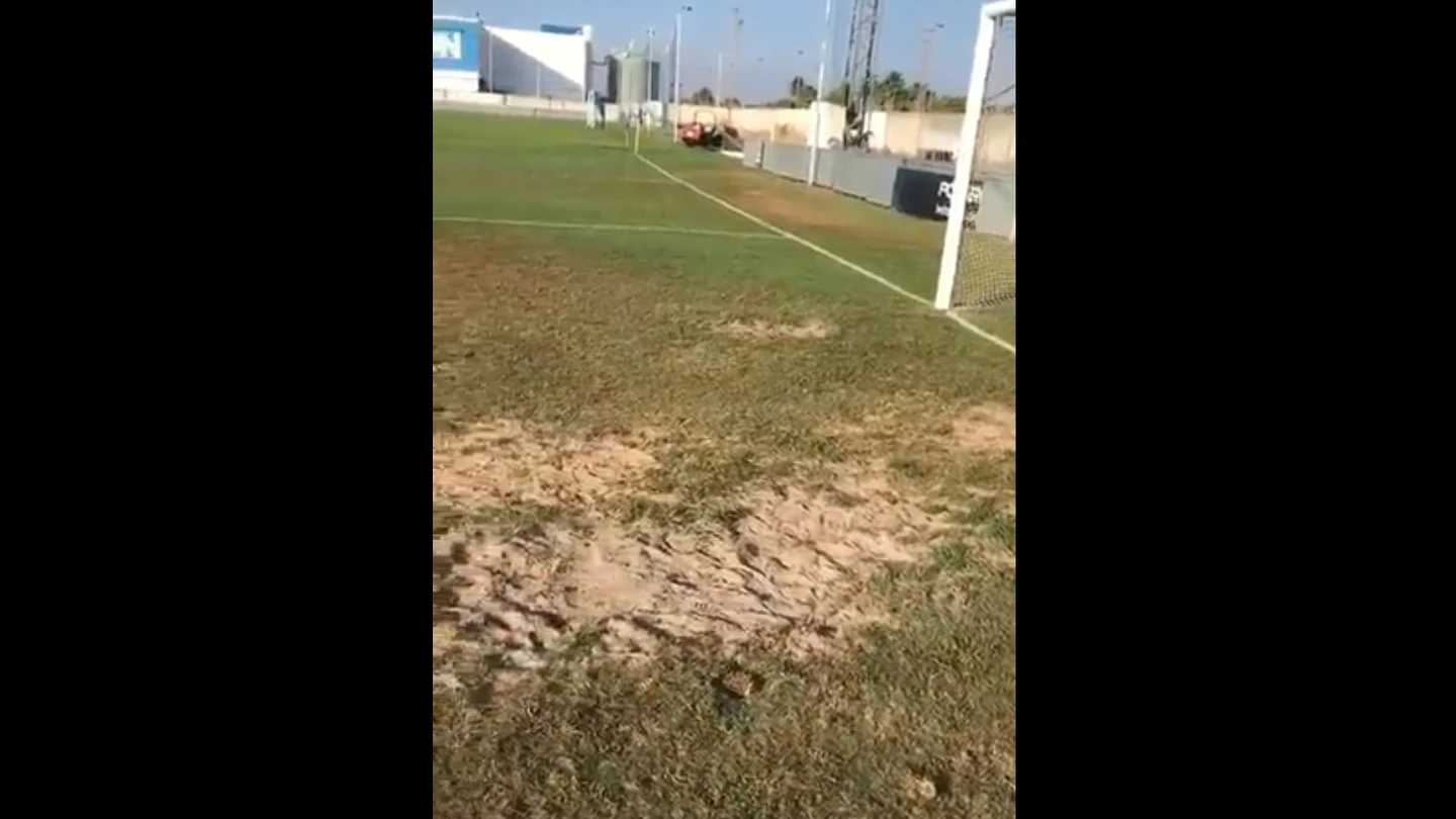 El césped del Sporting de Huelva El césped del Sporting de Huelva