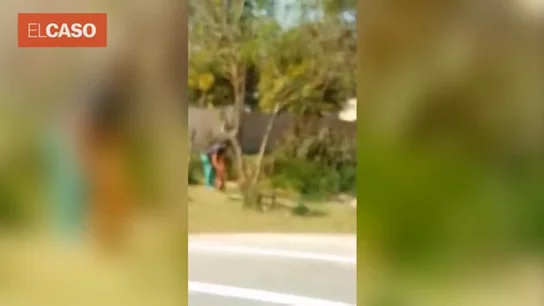 Graban a una mujer ahorcando y apuñalando al perro de su vecino Graban a una mujer ahorcando y apuñalando al perro de su vecino