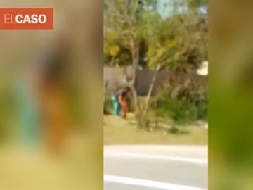 Graban a una mujer ahorcando y apuñalando al perro de su vecino Graban a una mujer ahorcando y apuñalando al perro de su vecino