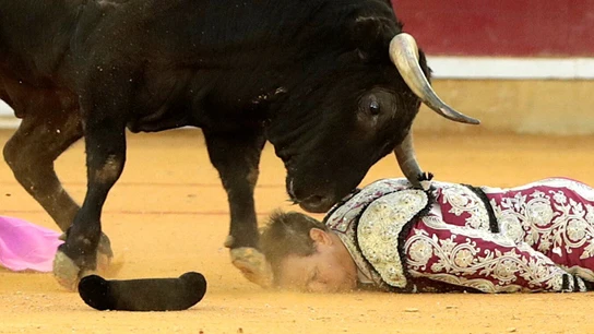 El banderillero Mariano de la Viña corneado El banderillero Mariano de la Viña corneado