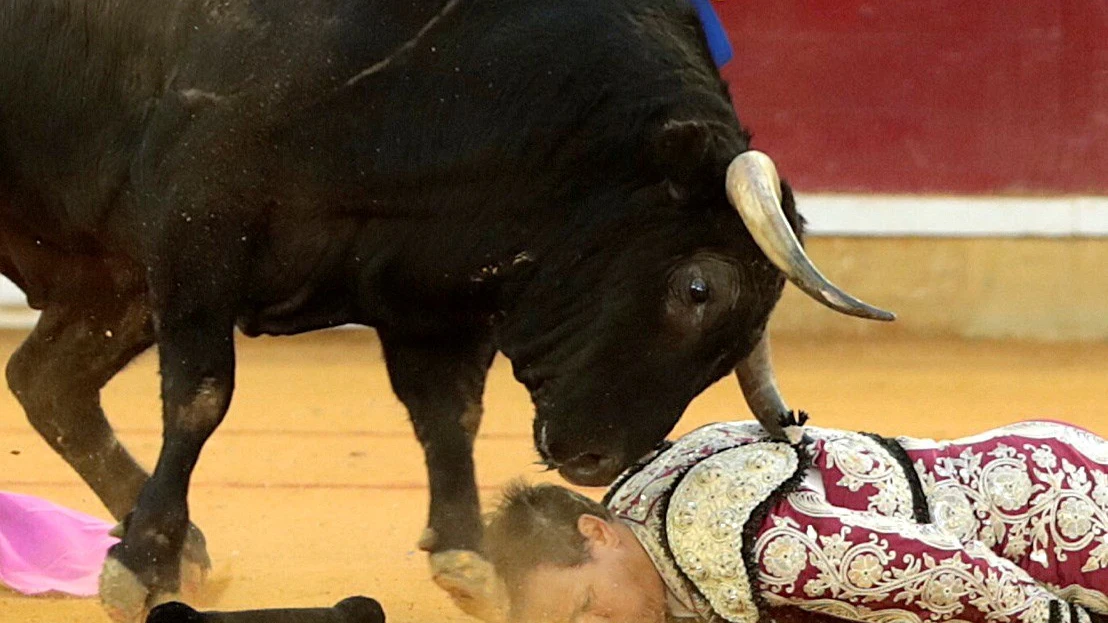 El banderillero Mariano de la Viña corneado